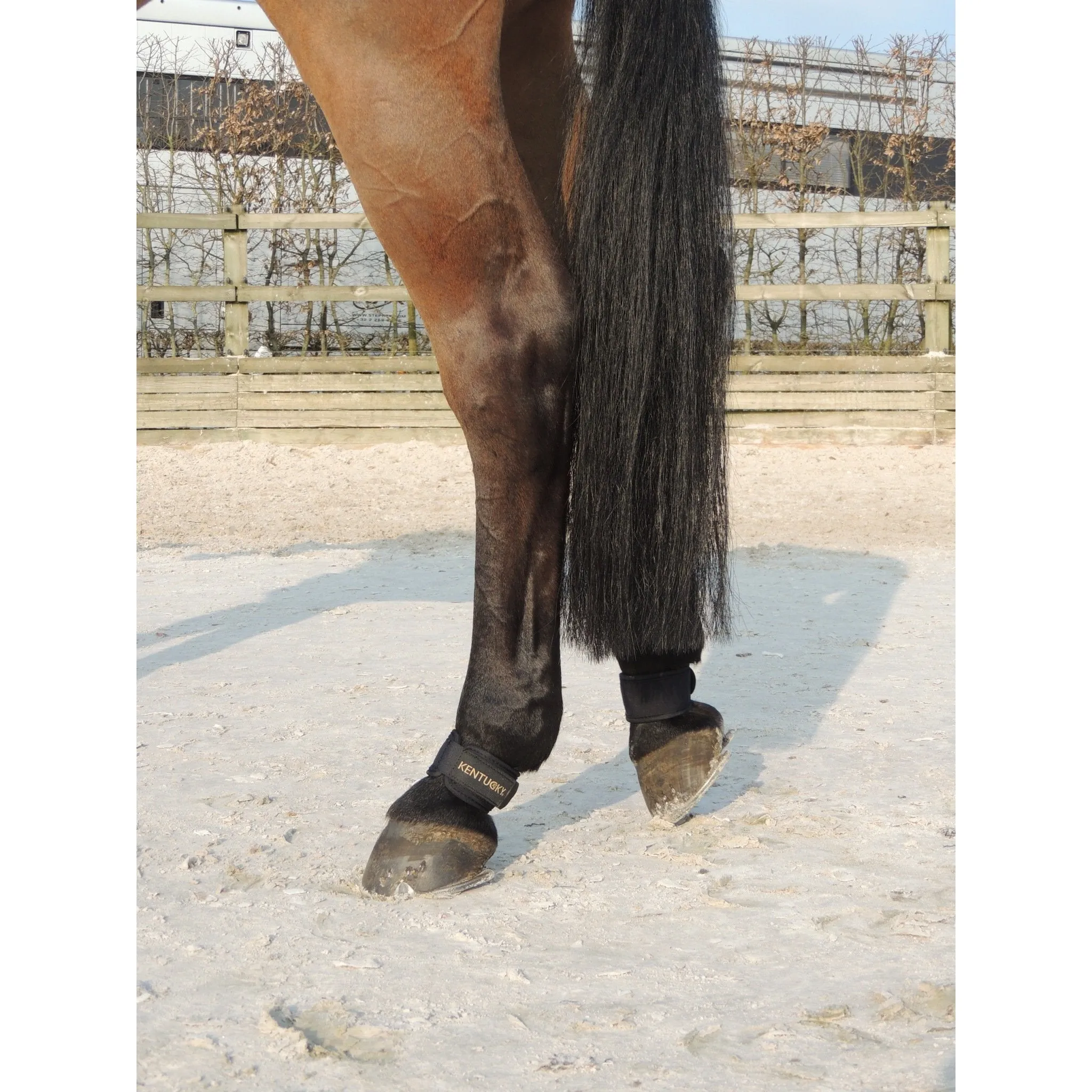 Kentucky Horsewear Pastern Wraps