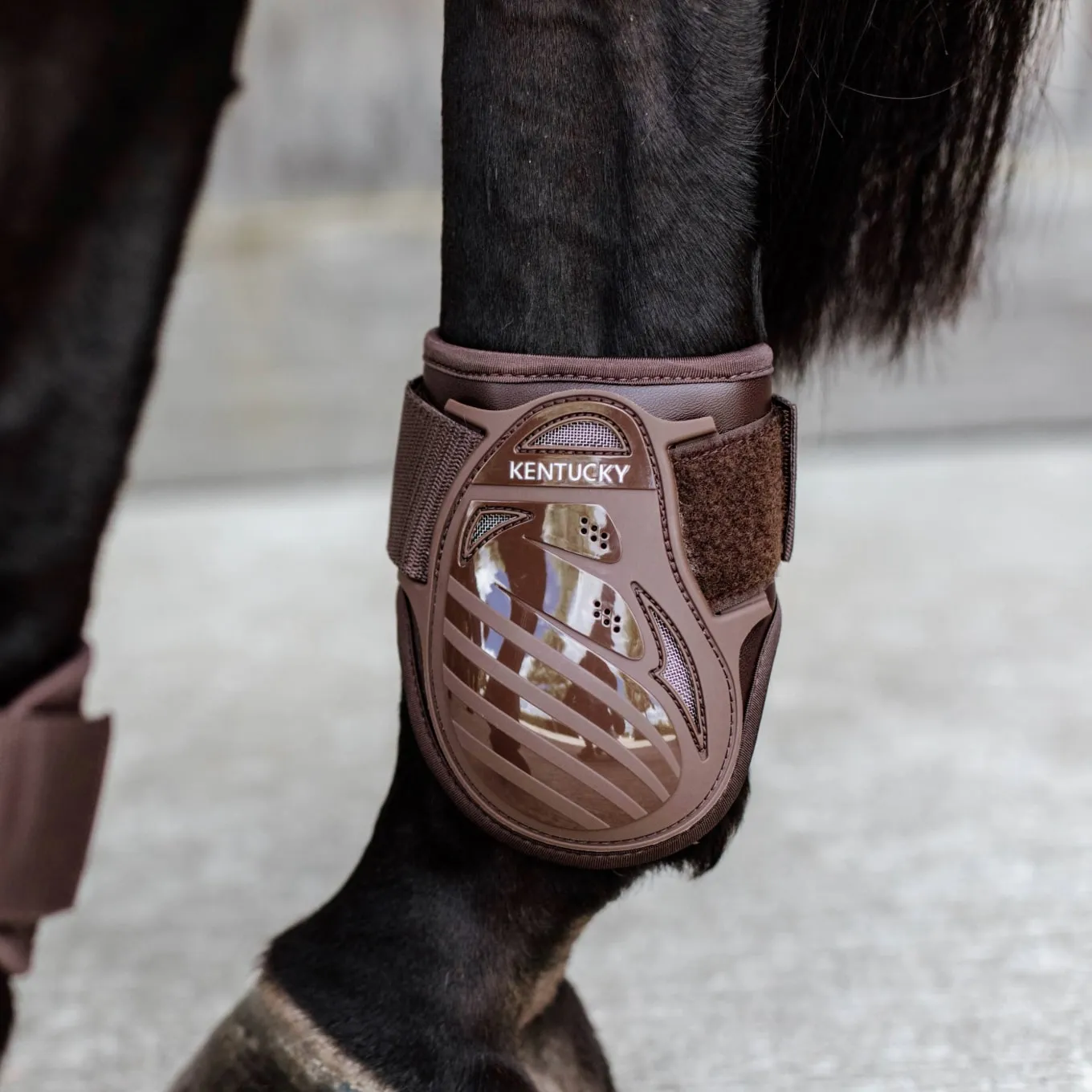 Kentucky Horsewear Young Horse Fetlock Boots Air - Brown