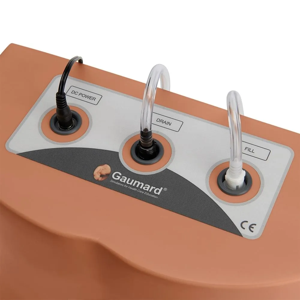 Lumbar Puncture Trainer, Dark